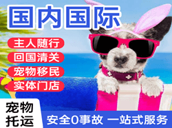 万州五桥机场邮寄国际宠物托运 【国